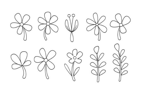 Hand-drawn Floral and Leaf Illustrations