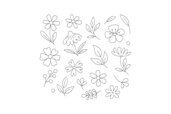Hand-drawn Floral Elements and Botanical